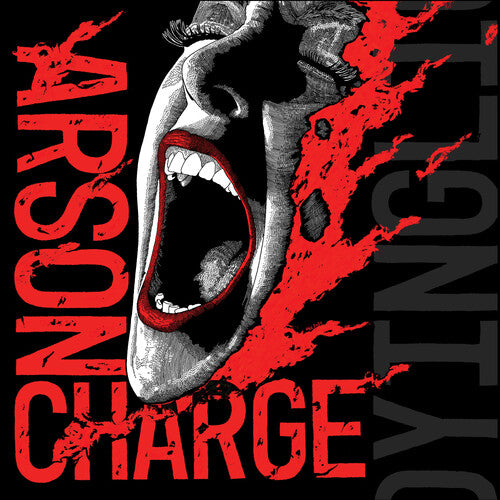 Arson Charge: A Dying Light - VINYL LP