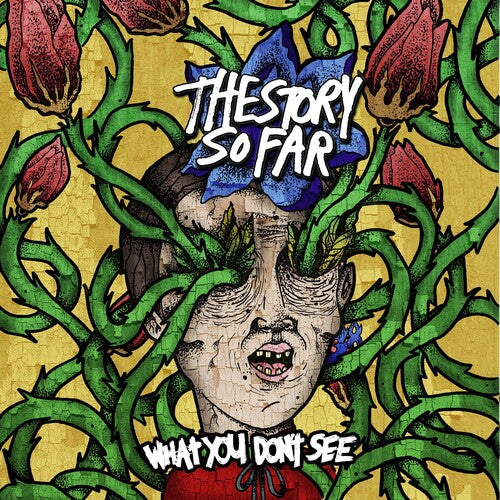 Story So Far: What You Don't See - VINYL LP