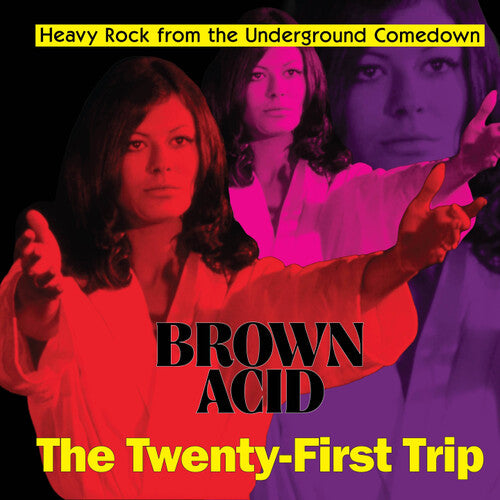 Various Artists: Brown Acid - The Twenty-first Trip (Various Artists) - VINYL LP