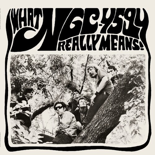 Ngc-4594: What NGC-4594 Really Means! - VINYL LP