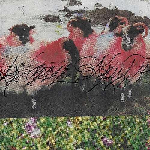 Krut, Kassie: Kassie Krut - VINYL LP