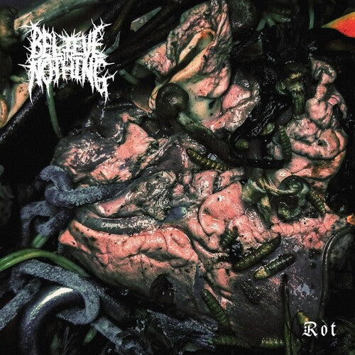 Believe in Nothing: Rot - VINYL LP