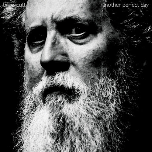 Bill Orcutt: Another Perfect Day - COMPACT DISCS