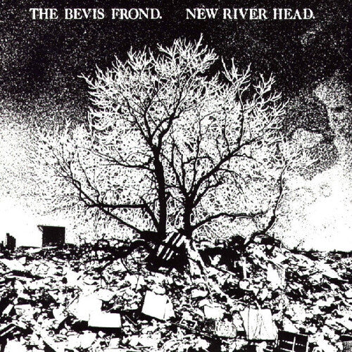 Bevis Frond: New River Head - VINYL LP