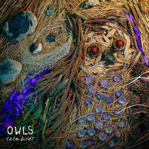 The Owls: Rare Birds - VINYL LP