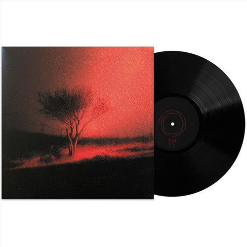 Joji: Piss In The Wind - VINYL LP