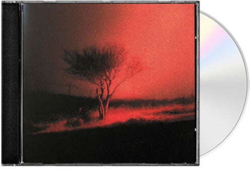 Joji: Piss In The Wind - COMPACT DISCS