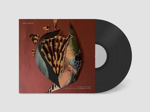 Hayford, James: Split - 12-INCH SINGLE