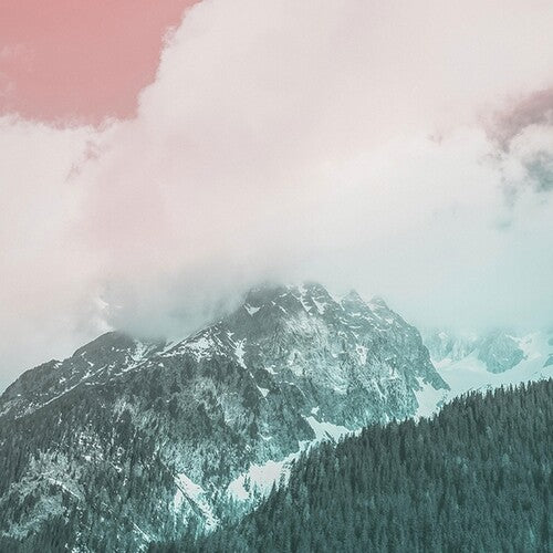 Sousa, Tiago: Organic Music Tapes, Vol. 4 - CASSETTES