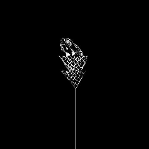 Wetware: Flail - VINYL LP