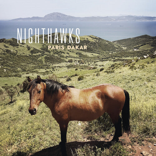 Nighthawks: Paris Dakar - VINYL LP