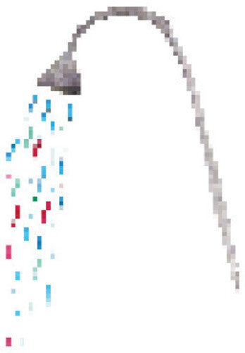 Florist: Holdly - VINYL LP