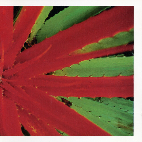 Jejune: This Afternoons Malady - VINYL LP