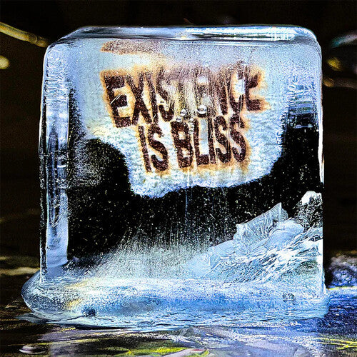 Deadletter: Existence Is Bliss - Autographed Transparent Glitter Colored Vinyl - VINYL LP