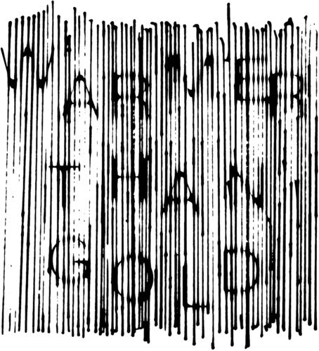 Guv: Warmer Than Gold - COMPACT DISCS