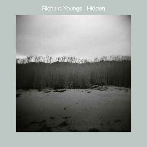 Youngs, Richard: Hidden - VINYL LP