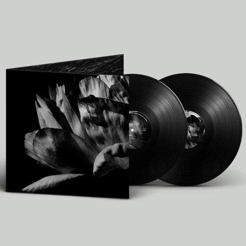 Roam, Louise: La Ou Passe La Nuit - VINYL LP