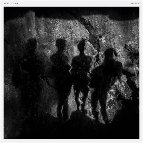 Projection: Section - VINYL LP