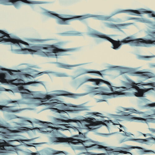 Bellbird: The Call - COMPACT DISCS