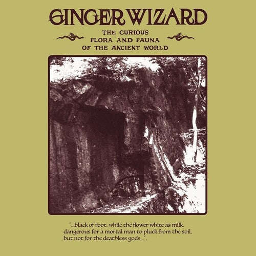 Ginger Wizard: The Curious Flora And Fauna Of The Ancient World - VINYL LP
