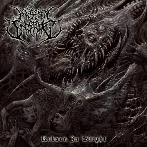 Insect Inside: Reborn In Blight - COMPACT DISCS