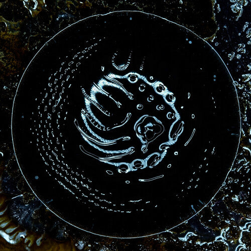 Stonus: Stonus - COMPACT DISCS