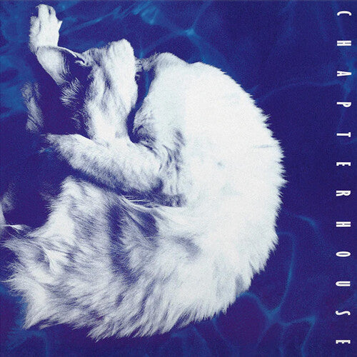 Chapterhouse: Whirlpool - Limited 180-Gram White & Black Marble Colored Vinyl - VINYL LP