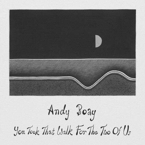 Boay, Andy: You Took That Walk For The Two Of Us - VINYL LP