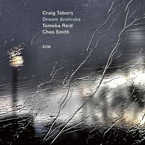 Craig Taborn: Dream Archives - COMPACT DISCS