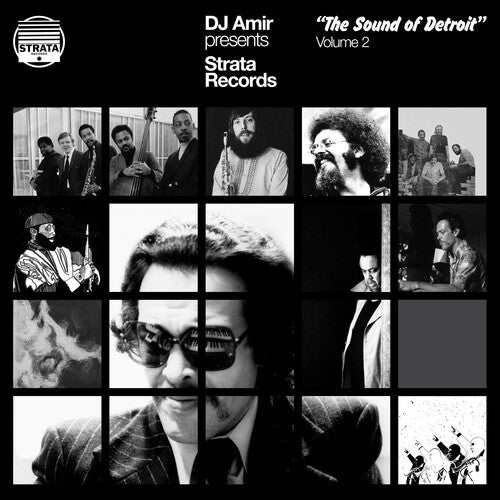 DJ Amir: Dj Amir Presents Strata Records: The Sound Of Detroit Vol. 2 - VINYL LP
