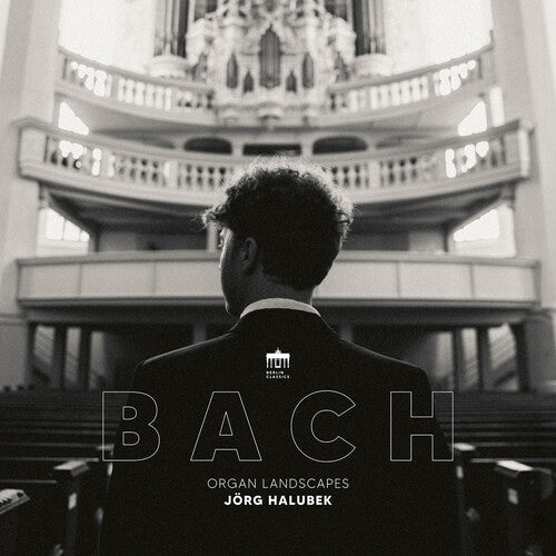 Jorg Halubek: Organ Landscapes - VINYL LP
