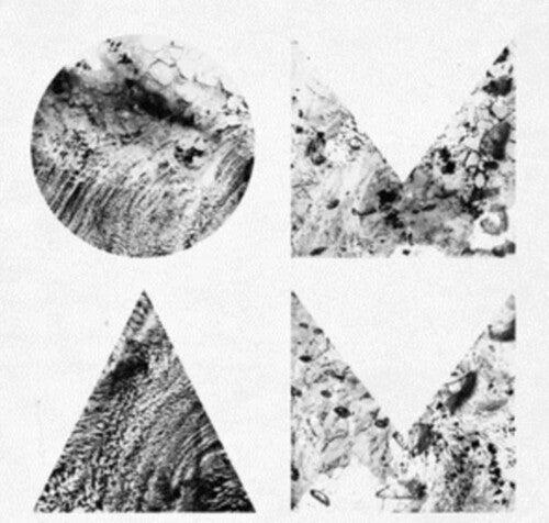 Of Monsters and Men: Beneath The Skin - VINYL LP