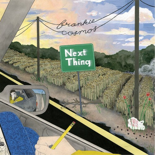 Frankie Cosmos: Next Thing (10 Year Anniversary) - VINYL LP