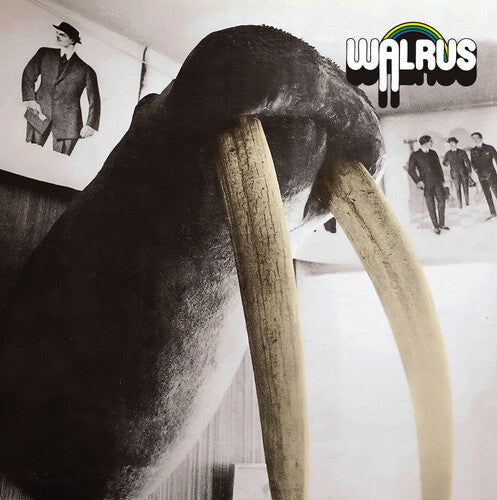 Walrus: Walrus - COMPACT DISCS