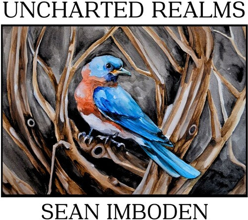 Sean Imboden: Uncharted Realms - COMPACT DISCS