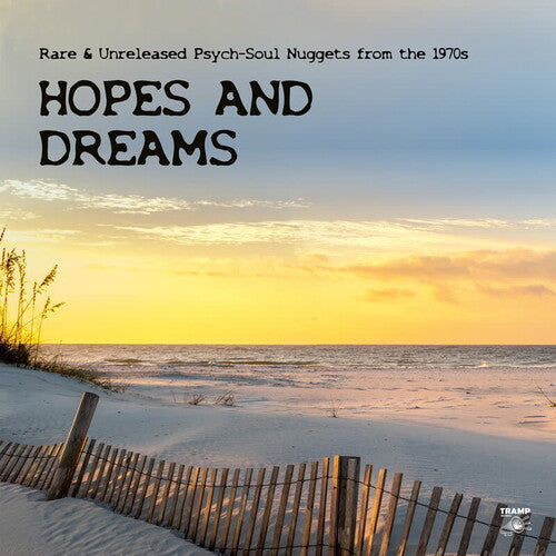 Hopes & Dreams: Rare & Unreleased Psych-Soul / Var: Hopes And Dreams: Rare & Unreleased Psych-Soul Nuggets from the 1970s - VINYL LP