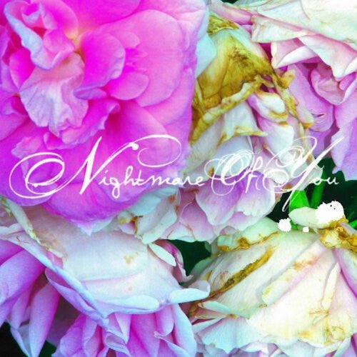 Nightmare of You: Nightmare Of You - VINYL LP