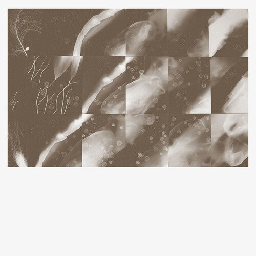 Peter Knight: For A Moment The Sky Knew My Name - COMPACT DISCS