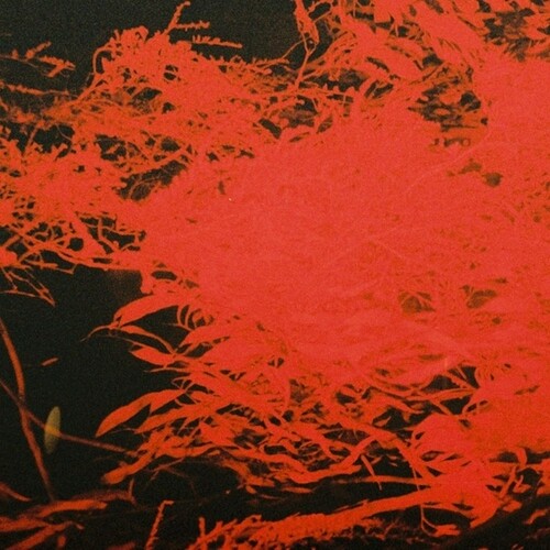Naples, Anthony: In Studio Magic - VINYL LP