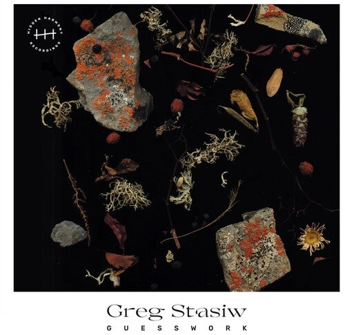Stasiw, Greg: Guesswork - VINYL LP