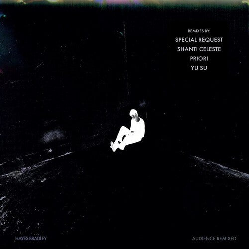 Bradley, Hayes: Audience (Remixed) - 12-INCH SINGLE