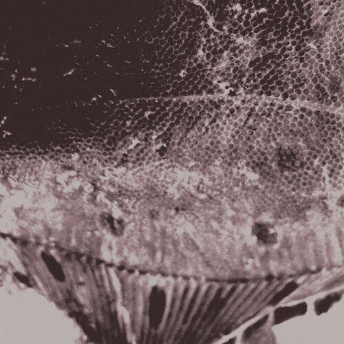 Ijzerman, Mark: Flounder Maps - VINYL LP