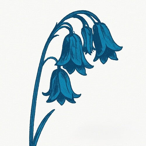 The Bluebells: This Is The Bluebells - Glade Green Vinyl - VINYL LP
