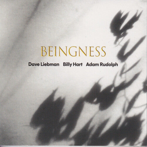 Leibman, Dave / Hart, Billy / Rudolph, Adam: Beingness - VINYL LP