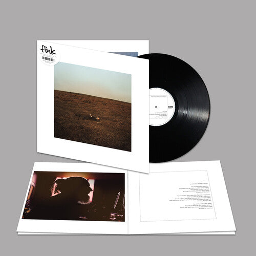 Fink: The City Is Coming to Erase It All - VINYL LP