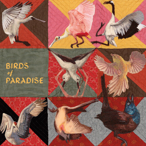 Thomas Dollbaum: Birds of Paradise - COMPACT DISCS