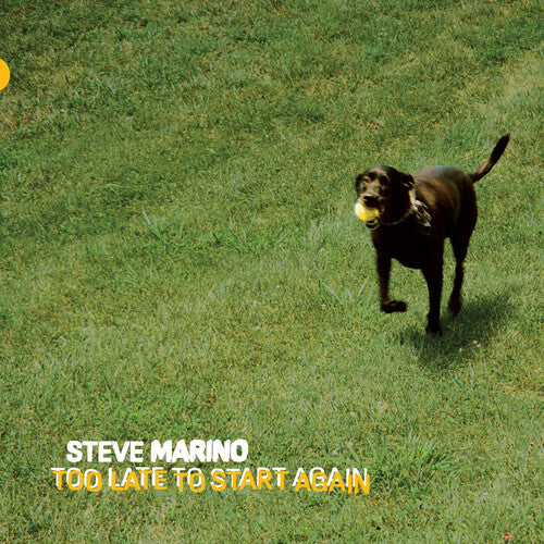 Marino, Steve: Too Late to Start Again - VINYL LP