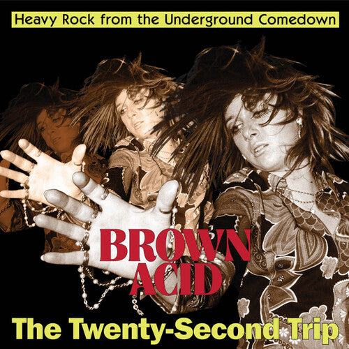Various Artists: Brown Acid - The Twenty-Second Trip (Various Artists) - VINYL LP