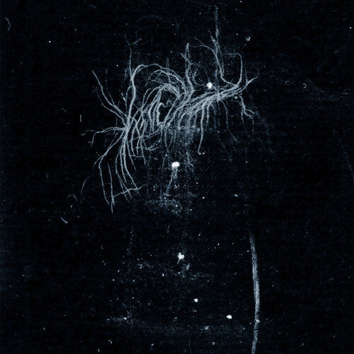 An Inverted Flame My Heart: My Death Is More Beautiful Than Your Life - COMPACT DISCS