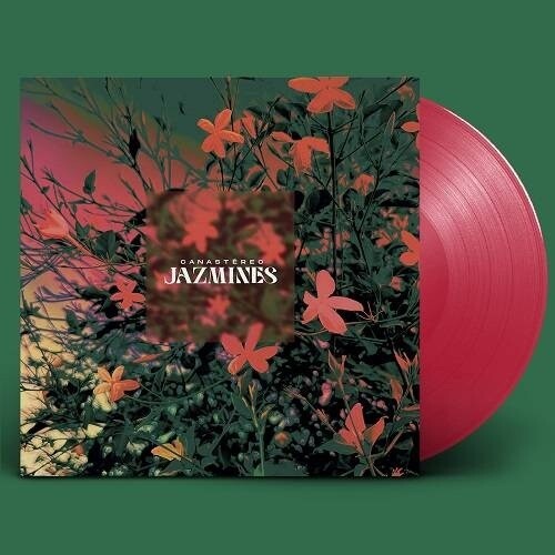 Canastereo: Jazmines - VINYL LP